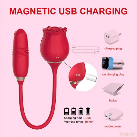 How to Satisfy Your Woman 2-part DVD with the Amazing BLISS Rose Clitoral Sucking and Thrusting Toy - Powerful Vibrating Clit Stimulator with 6 Suction Speeds for the Ultimate Orgasm - Rechargeable - As Seen Everywhere on Social Media [DVD]