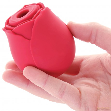 Keys in the Bowl: The Ultimate Swingers Collection 3-DVD Set with the Amazing BLISS Rose Clitoral Sucking Toy - Powerful Vibrating Clit Stimulator with 6 Suction Speeds for the Ultimate Orgasm - Rechargeable - As Seen Everywhere on Social Media [DVD]