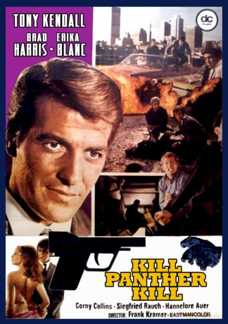 Kill Panther Kill [DVD]