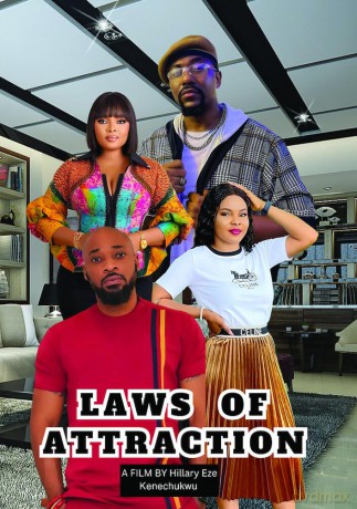 Laws of Attraction [DVD]