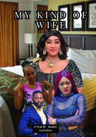 My Kind of Wife [DVD]