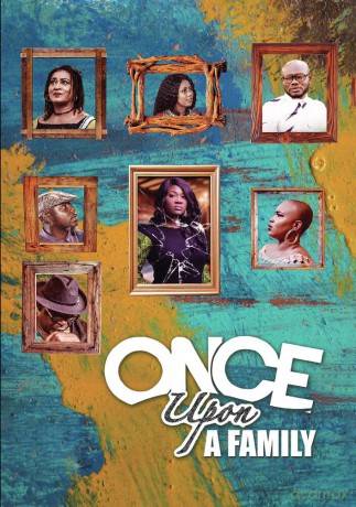 Once Upon a Family [DVD]