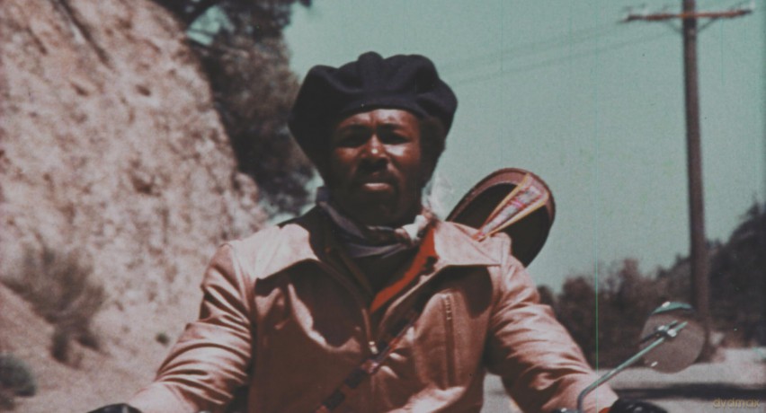 The Black Panther of Shaolin + The Black Six [Blu-Ray]