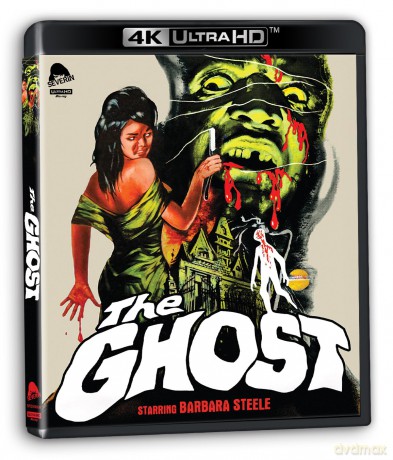 The Ghost [DVD]