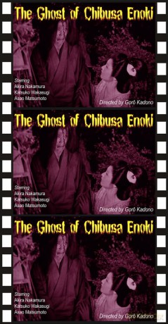 The Ghost of Chibusa Enoki [DVD]