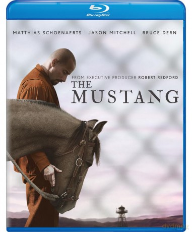 The Mustang [Blu-Ray]