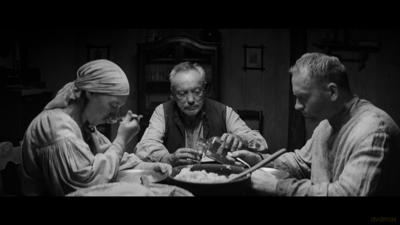 The Painted Bird (Malowany ptak) [Blu-Ray]