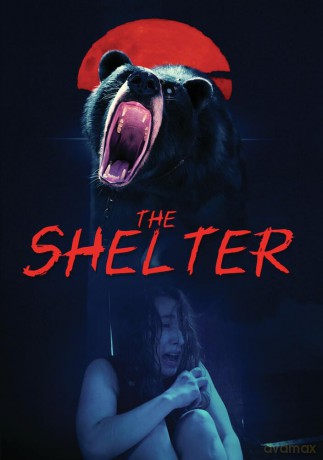 The Shelter [DVD]