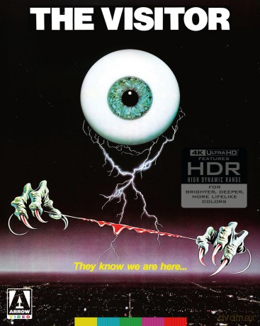 The Visitor [DVD]