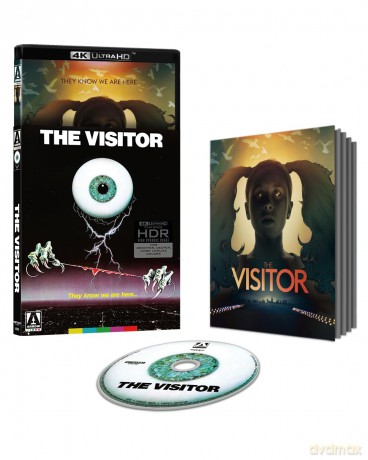 The Visitor [DVD]