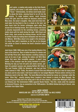 The White Outlaw (Silent) [DVD]