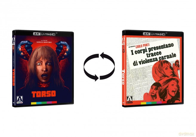 Torso (Standard Edition) [DVD]