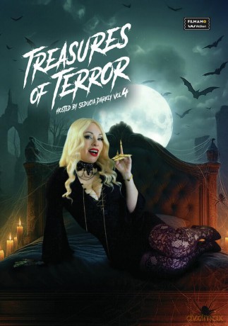 Treasure of Terror Vol 4 [DVD]