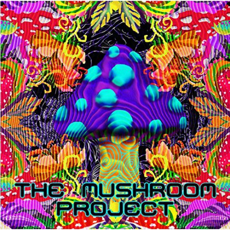 The Mushroom Project: The Mushroom Project [CD]