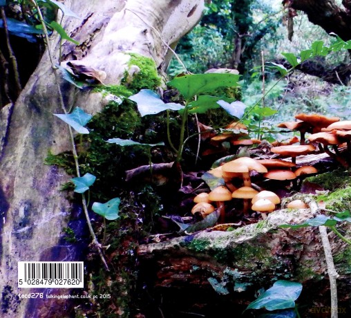 The Mushroom Project: The Mushroom Project [CD]