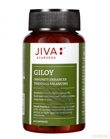 JIVA Giloy Układ oddechowy 60 kps