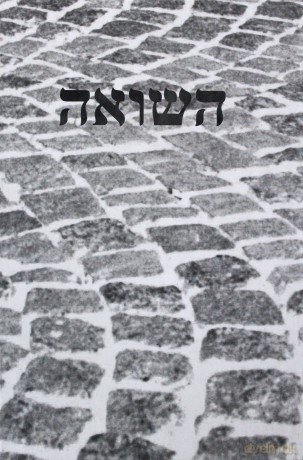 Memory Of The Shoah. Cultural Representations And Commemorative Practices. [KSIĄŻKA]