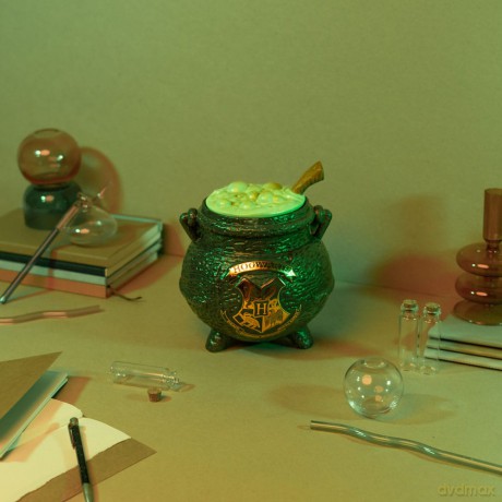 Harry Potter Cookie Jar The Leaky Cauldron