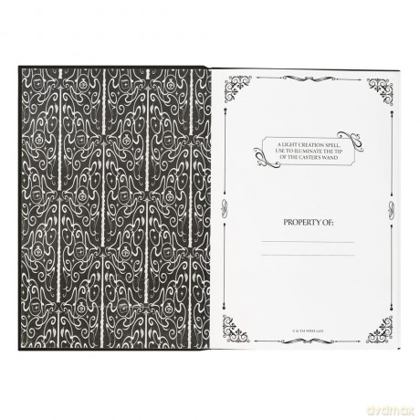 Harry Potter Premium Notebook A5 with Light Lumos Maxima