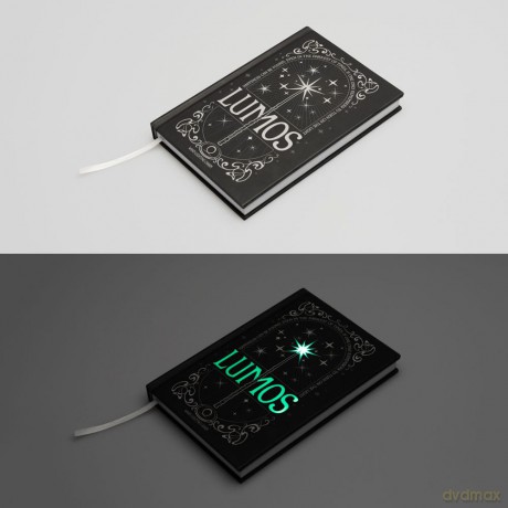 Harry Potter Premium Notebook A5 with Light Lumos Maxima