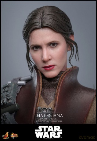 Star Wars Episode VI Movie Masterpiece Action Figure 1/6 Leia Organa (Boushh Disguise) 27 cm