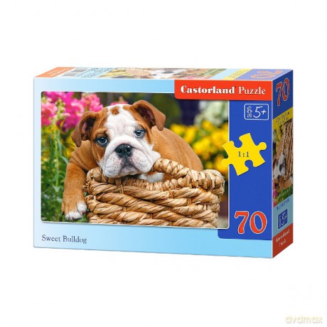 Castor 70 Element. Słodki Bulldog [PUZZLE]