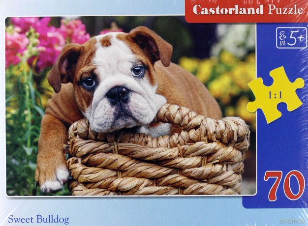 Castor 70 Element. Słodki Bulldog [PUZZLE]