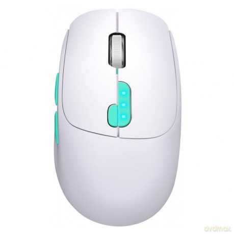 Mysz bezprzewodowa NITTA MM-307 RF+BT 1600DPI 6P biała