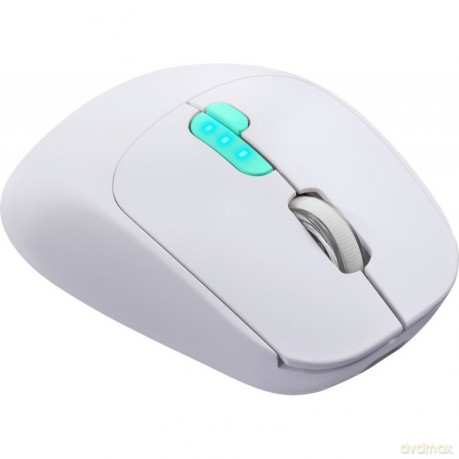 Mysz bezprzewodowa NITTA MM-307 RF+BT 1600DPI 6P biała