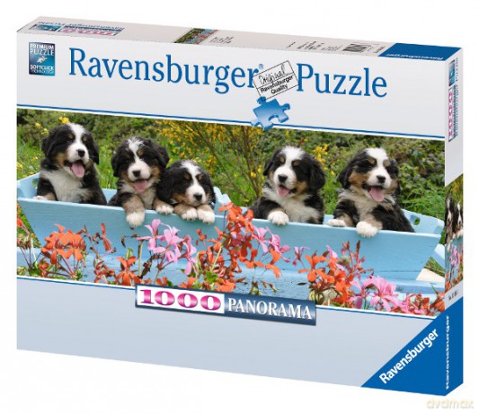 Raven. 1000 Element. Panorama Psy Berneńskie [PUZZLE]