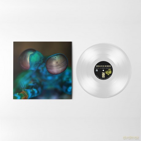 Melvin Gibbs: Amasia: Anamibia Sessions 2 (Crystal Clear) [Winyl]
