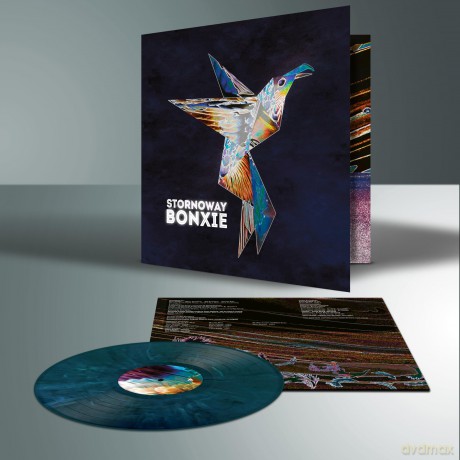 Stornoway: Bonxie (10th Anniversary) (Deluxe) (Eco Coloured) [Winyl]