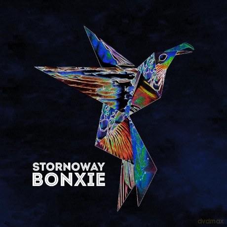 Stornoway: Bonxie (10th Anniversary) (Deluxe) (Eco Coloured) [Winyl]
