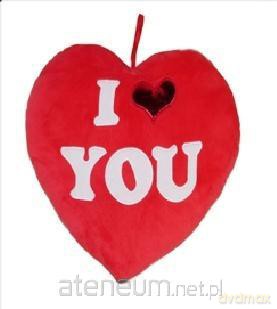 Serce I Love You 20cm