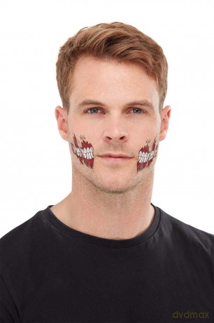 SMIFFY Farbki do twarzy Zombie face