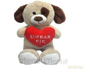 Pies Kocham Cię 20 cm