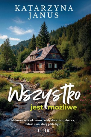 Wszystko jest możliwe - Katarzyna Janus [KSIĄŻKA]