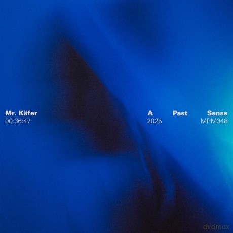 Mr Kafer: A Past Sense [1xWinyl]