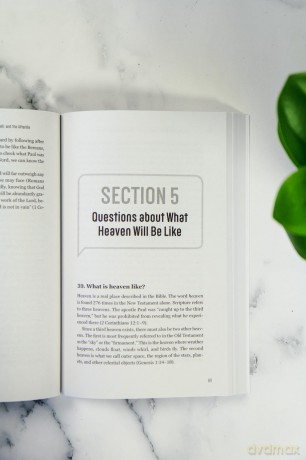 100 Most Asked Questions about Heaven, Hell, and the Afterlife, The: Scripture's Answers to What Happens after You Die - S. Michael Houdmann [KSIĄŻKA]