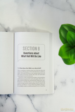 100 Most Asked Questions about Heaven, Hell, and the Afterlife, The: Scripture's Answers to What Happens after You Die - S. Michael Houdmann [KSIĄŻKA]