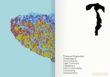 100 Words for Water: A Projective Ecosocial Vocabulary - Eva Franch i Gilabert [KSIĄŻKA]