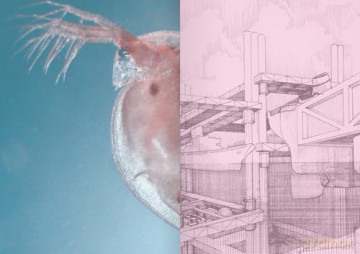 100 Words for Water: A Projective Ecosocial Vocabulary - Eva Franch i Gilabert [KSIĄŻKA]