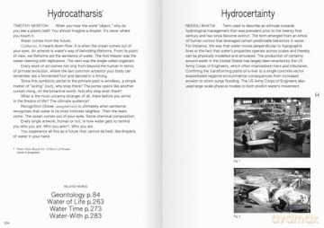 100 Words for Water: A Projective Ecosocial Vocabulary - Eva Franch i Gilabert [KSIĄŻKA]