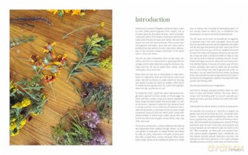 1000 Botanical Colors: Make Your Own Dyes, Paints, Inks, Stains, and Pottery Paints from 250 Plants - Caleb Warnock [KSIĄŻKA]