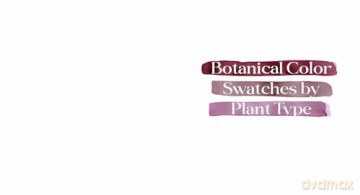 1000 Botanical Colors: Make Your Own Dyes, Paints, Inks, Stains, and Pottery Paints from 250 Plants - Caleb Warnock [KSIĄŻKA]