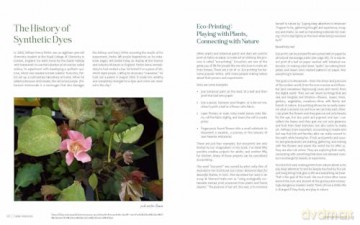 1000 Botanical Colors: Make Your Own Dyes, Paints, Inks, Stains, and Pottery Paints from 250 Plants - Caleb Warnock [KSIĄŻKA]