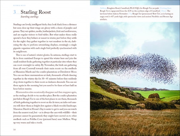 111 Places in Cornwall That You Shouldn't Miss: Travel Guide - Catriona Neil [KSIĄŻKA]