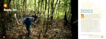 3 Weeks in the Rainforest: A Rapid Inventory in the Amazon - Jennifer Swanson [KSIĄŻKA]