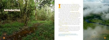 3 Weeks in the Rainforest: A Rapid Inventory in the Amazon - Jennifer Swanson [KSIĄŻKA]