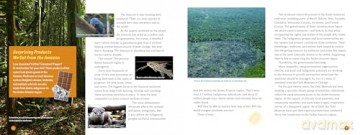 3 Weeks in the Rainforest: A Rapid Inventory in the Amazon - Jennifer Swanson [KSIĄŻKA]